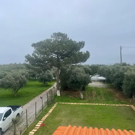 Zorbas